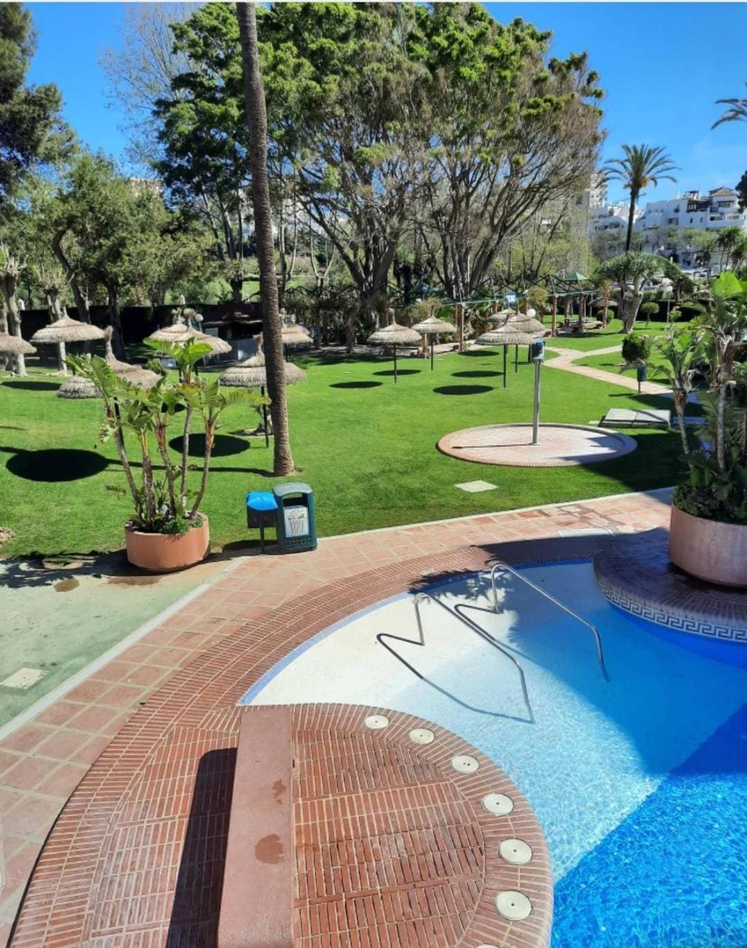 Vega Estudio Benalbeach Nuevo!